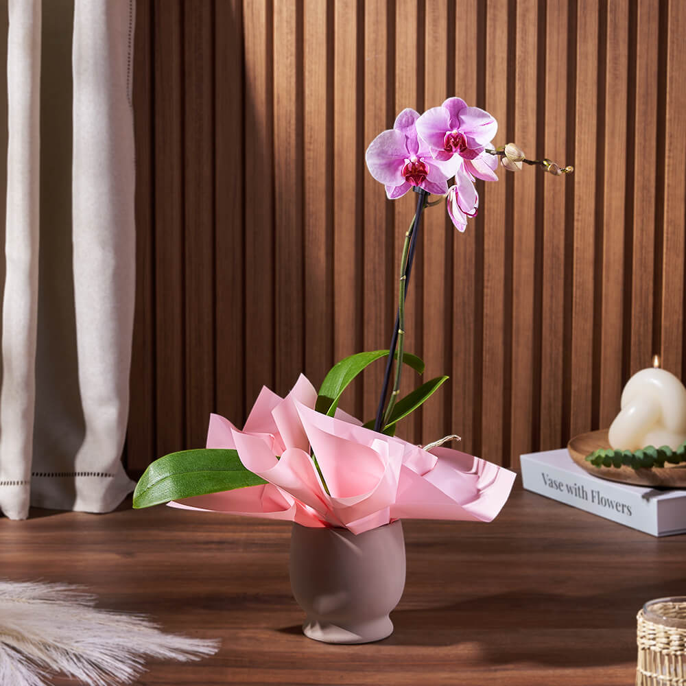 Timeless Orchid in Ceramic Pot – how the gift is presented