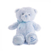 Blue Best Friend Baby Plush Bear from New York City Baskets - New York City Delivery
