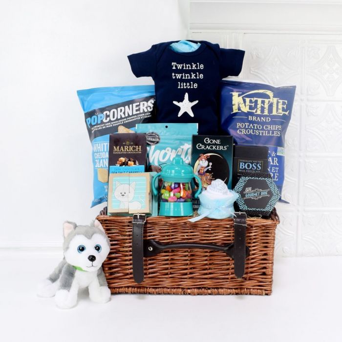 Newborn Plush Puppy Gift Basket – how the gift is presented
