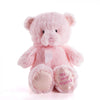 Pink Best Friend Baby Plush Bear from New York City Baskets - New York City Delivery