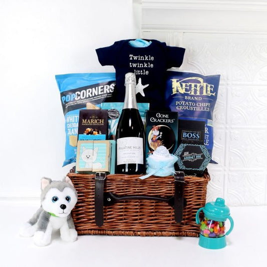 Special Delivery For The Baby Gift Basket from New York City Baskets - New York City Delivery