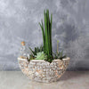 St. Lawrence Potted Succulent Garden From New York City Baskets - New York City Delivery