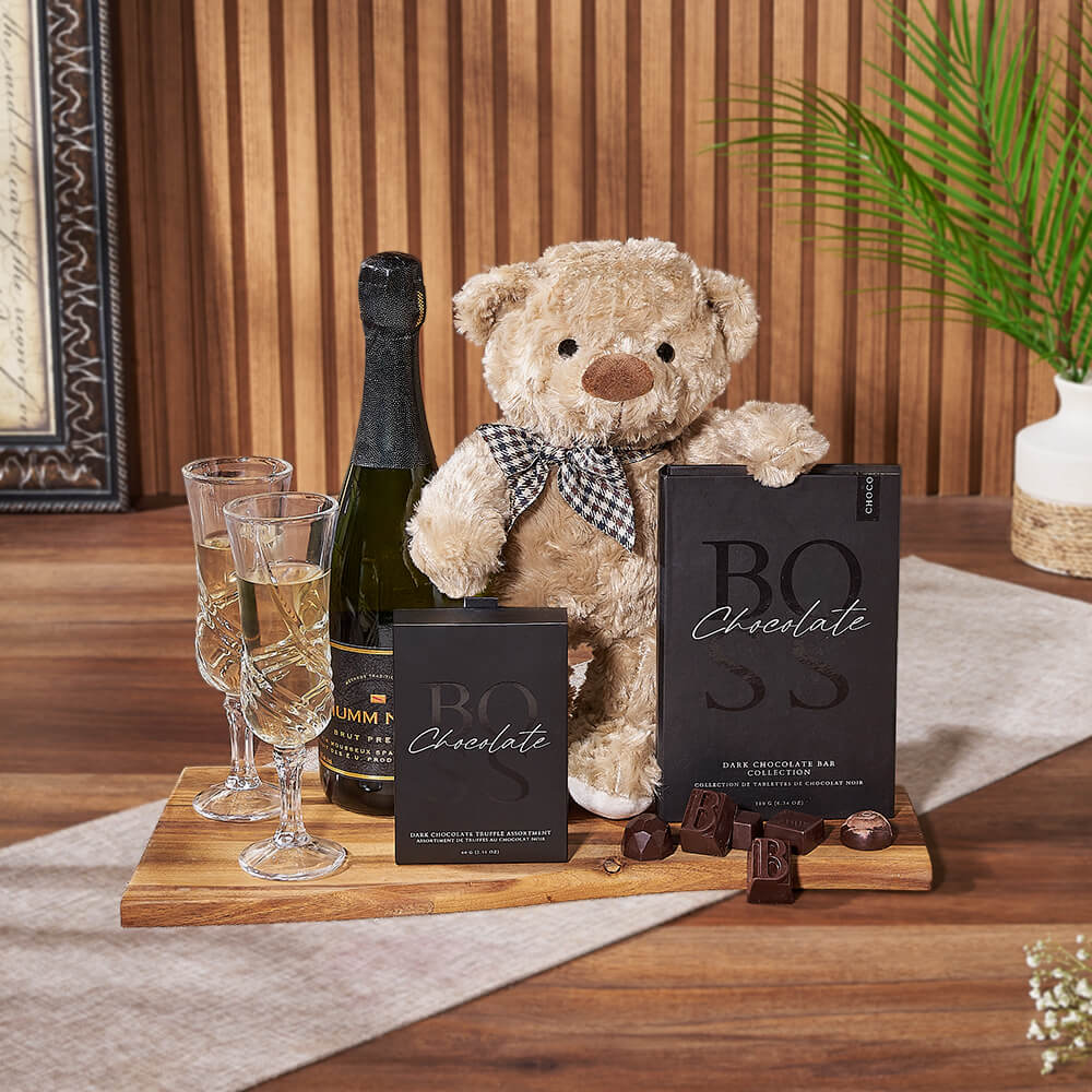 Sparkling Toast & Teddy Gift Set, champagne gift, champagne, sparkling wine gift, sparkling wine, chocolate gift, chocolate, New York City delivery