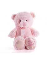 pink plush toy delivery, delivery pink plush toy, baby toy delivery usa, usa