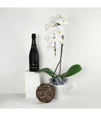 Pure & Simple Flowers & Champagne Gift