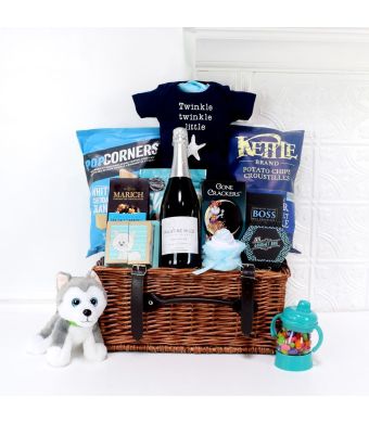 SPECIAL DELIVERY FOR THE BABY GIFT BASKET, baby boy gift basket, welcome home baby gifts, new parent gifts
