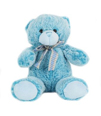 Baby Blue Bear, plush toys, plush gift baskets
