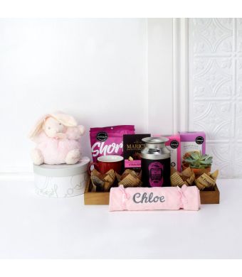 FOR THE NEWBORN MEMBER OF THE PINK TEAM GIFT BASKET, baby girl gift basket, welcome home baby gifts, new parent gifts
