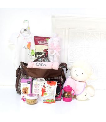 HI BABY! MEET YOUR PARENTS GIFT SET, baby girl gift basket, welcome home baby gifts, new parent gifts
