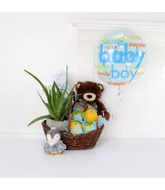 Best Wishes for Baby Gift Set, baby gift baskets, gift baskets, baby gifts