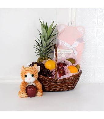 Baby Cuddles Gift Set, baby gift baskets, baby gifts, gift baskets, newborn gifts
