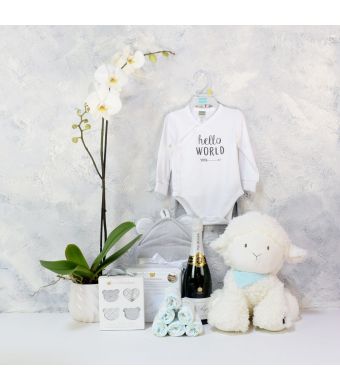 ADORABLE SHEEP BABY GIFT SET WITH CHAMPAGNE, baby girl gift hamper, newborns, new parents