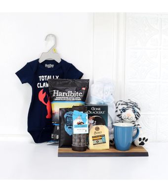SOFT & SNUGGLY BABY BOY GIFT BASKET, baby gift basket,, welcome home baby gifts, new parent gifts
